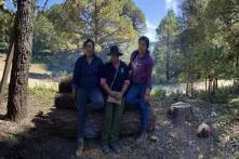 Mujeres: las más relegadas de los apoyos de Conafor y Semarnat