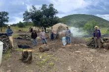 las manos que cuidan los bosques