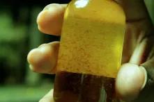 Ha´kanules, guardianes del agua