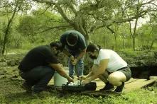 Ha´kanules, guardianes del agua