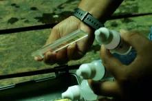 Ha´kanules, guardianes del agua