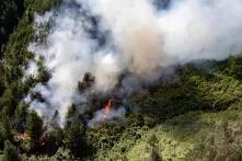 Incendio forestal