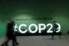 COP 29 UNFCCC