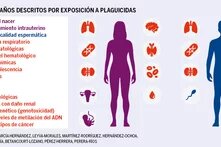 Infografía