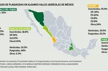 Infografía