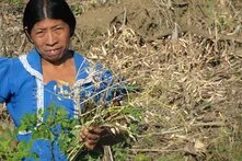 Mujer Maya Chorty con semilla de rabano