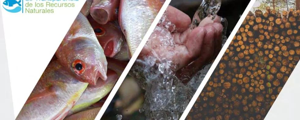 pesca, agua y bosques