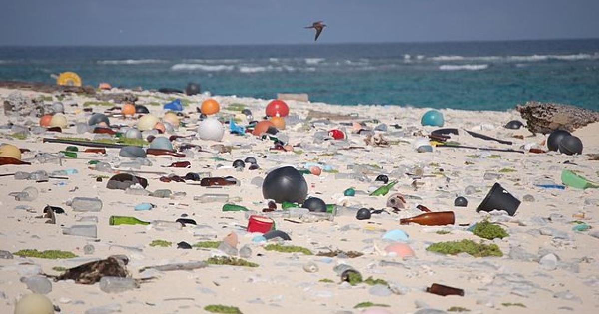 Contaminación de los océanos: ¿qué podemos hacer? | Heinrich-Böll-Stiftung  - Ciudad de México | México y el Caribe
