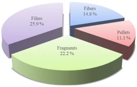 Gráfica de pay:  Tipos de microplásticos