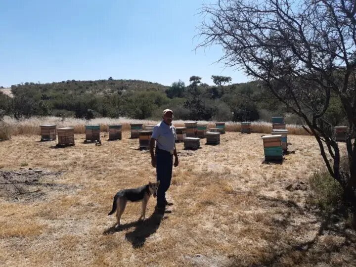 El apicultor Salvador García asegura que la mina de tajo a cielo abierto Cerro del Gallo, situada en el municipio de Dolores Hidalgo, en el estado mexicano de Guanajuato, representa una amenaza para sus colmenas por el daño a la vegetación y la contaminación del agua que supone esa explotación.