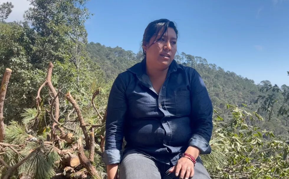 María Ana Olivia Aguas Gudiño, productora forestal