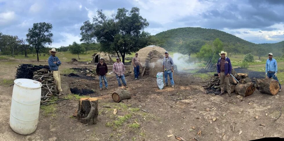 las manos que cuidan los bosques