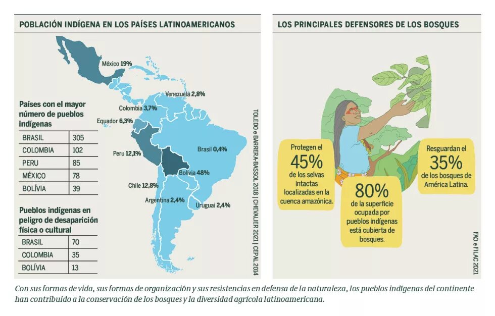 Población indígena, los principales defensores de los bosques