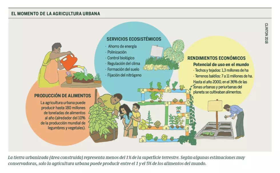 Infografía