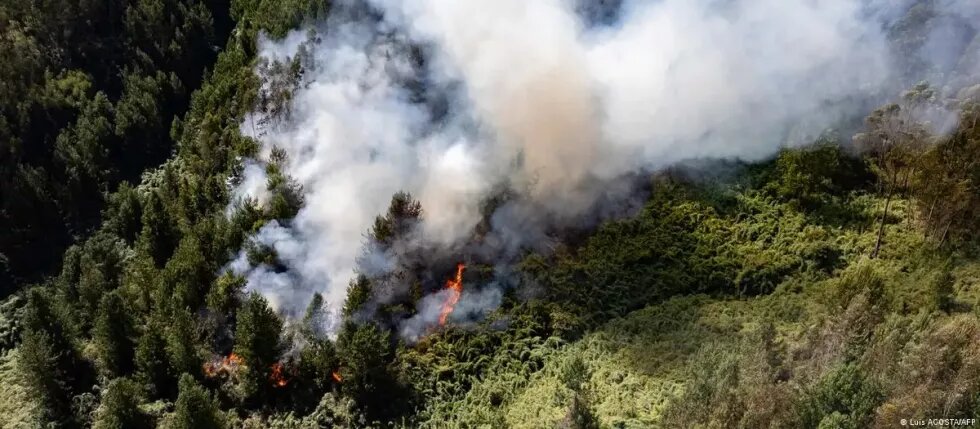 Incendio forestal