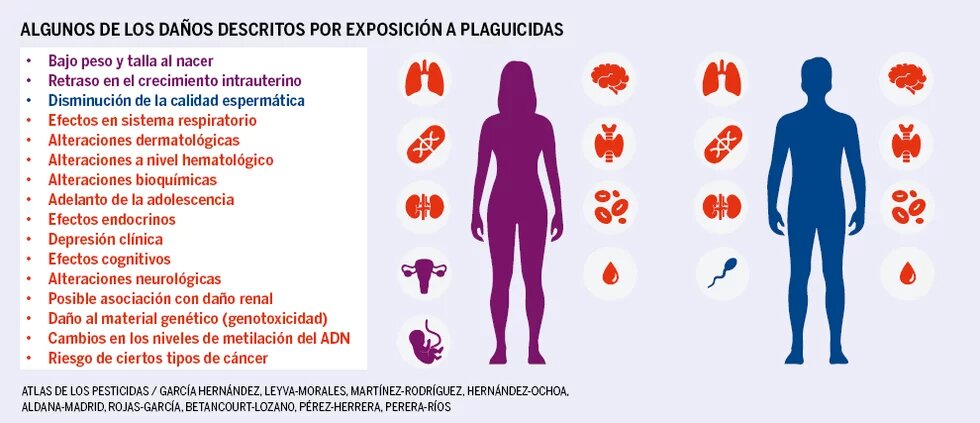 Infografía