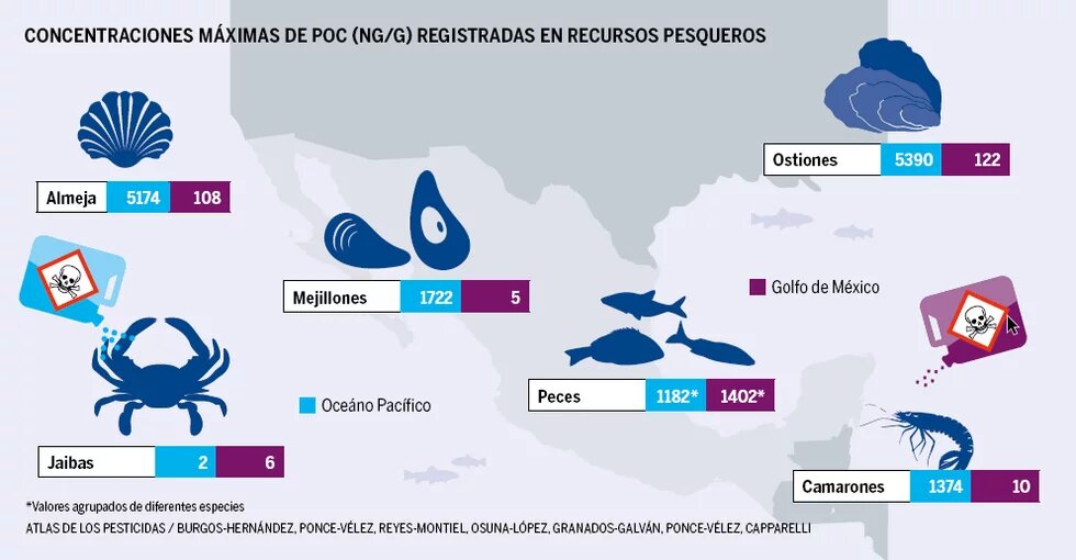 Infografía