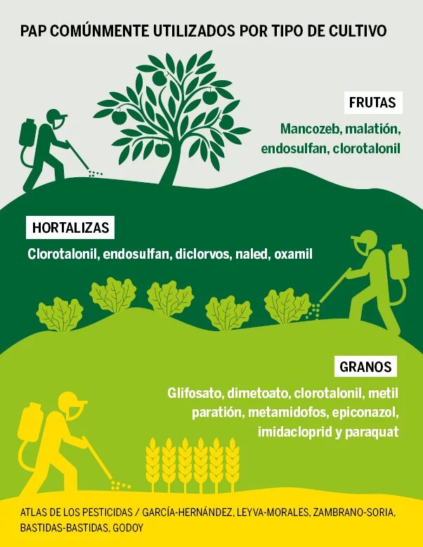 Infografía