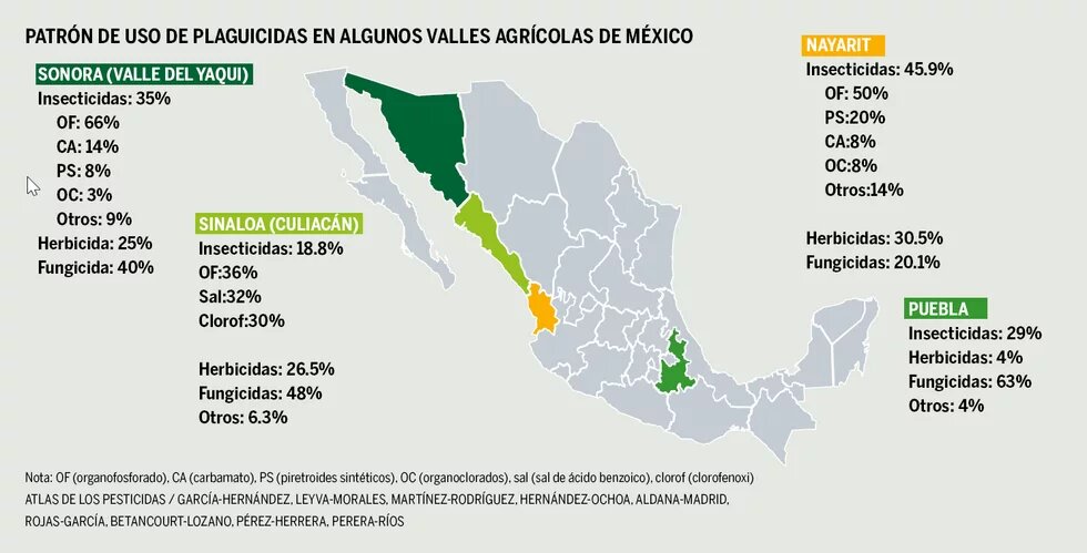Infografía