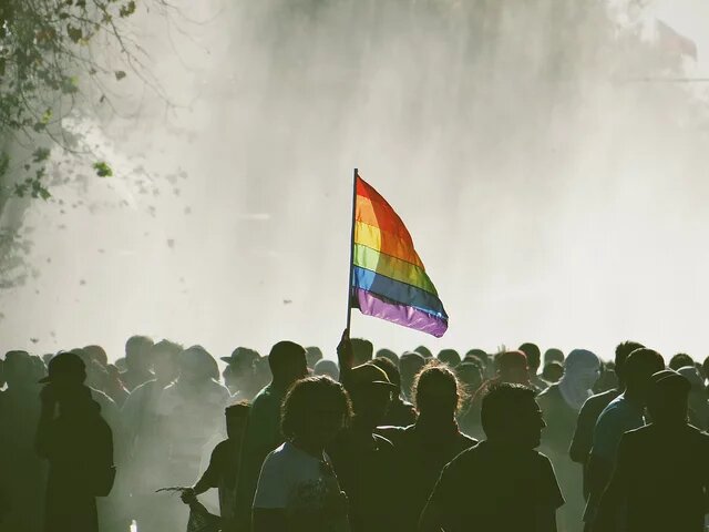 Manifestando diversidad